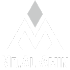 mdalamin006